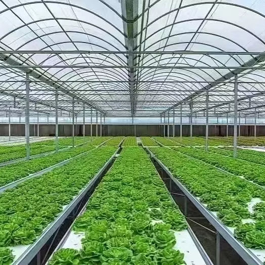 GrowMax Deep Water Culture (DWC) System